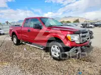 2013 Ford F-150 photo