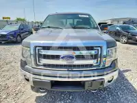 2013 Ford F-150 фото
