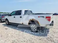 2013 Ford F-150 фото