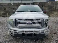 2013 Ford F-150 photo