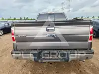 2013 Ford F-150 photo