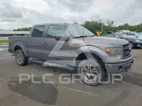 2013 Ford F-150 photo