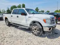 2013 Ford F-150 фото