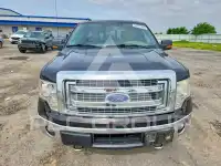 2013 Ford F-150 photo