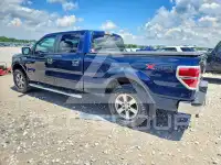 2013 Ford F-150 photo