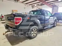 2013 Ford F-150 фото