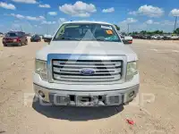 2013 Ford F-150 photo
