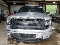 2013 Ford F-150 photo