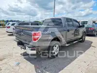 2013 Ford F-150 фото