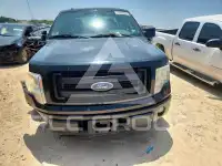2013 Ford F-150 photo