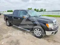 2013 Ford F-150 photo