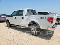 2013 Ford F-150 photo