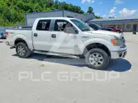 2013 Ford F-150 фото