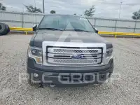 2013 Ford F-150 photo