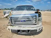 2013 Ford F-150 фото