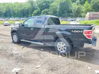 2013 Ford F-150 фото