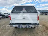 2013 Ford F-150 фото