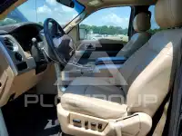 2013 Ford F-150 photo