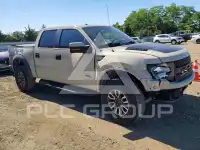 2013 Ford F-150 photo