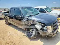 2013 Ford F-150 photo