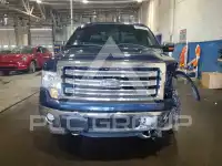 2013 Ford F-150 фото