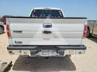 2013 Ford F-150 photo