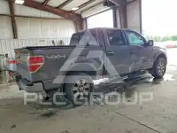 2013 Ford F-150 фото