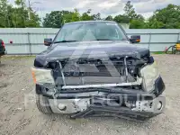 2013 Ford F-150 фото