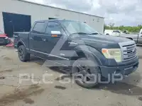 2013 Ford F-150 photo