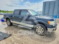 2013 Ford F-150 фото