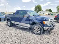 2013 Ford F-150 photo