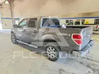 2013 Ford F-150 photo