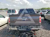 2013 Ford F-150 фото