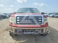 2013 Ford F-150 photo