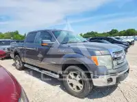 2013 Ford F-150 фото