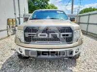 2013 Ford F-150 photo
