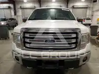 2013 Ford F-150 photo