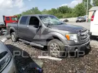 2013 Ford F-150 фото