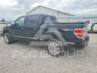 2013 Ford F-150 photo
