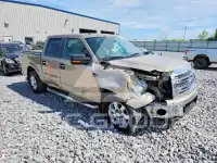 2013 Ford F-150 photo