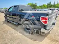2013 Ford F-150 photo