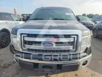 2013 Ford F-150 photo