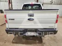 2013 Ford F-150 photo