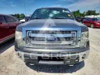 2013 Ford F-150 фото