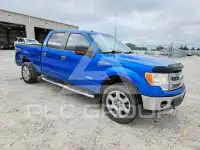 2013 Ford F-150 photo