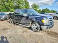 2013 Ford F-150 photo