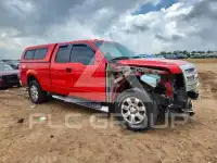 2013 Ford F-150 photo
