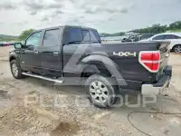 2013 Ford F-150 photo