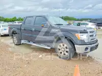 2013 Ford F-150 photo