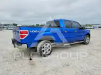 2013 Ford F-150 photo